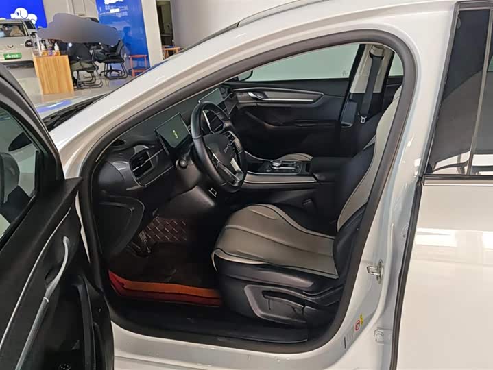 Фото 9 - BYD Destroyer 05