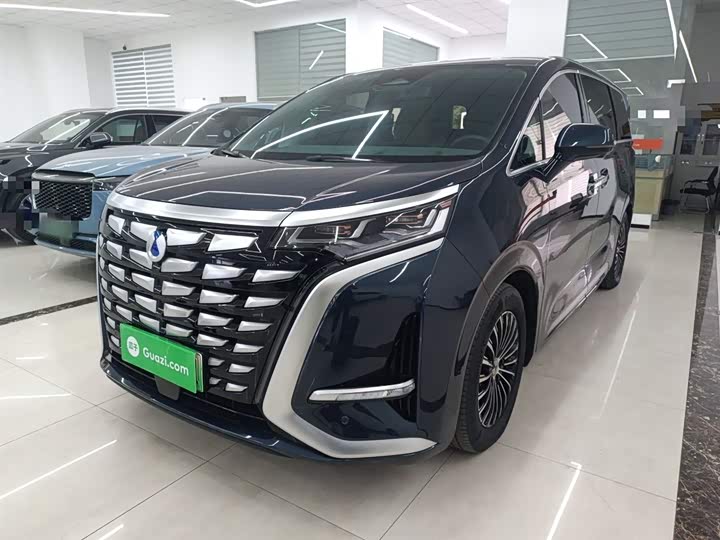 Фото 1 - Denza D9