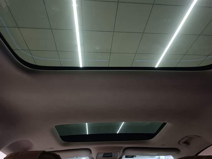 Фото 18 - Denza D9