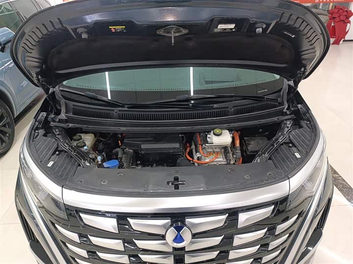 Фото 20 - Denza D9