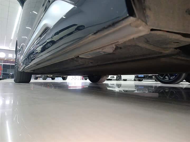 Фото 22 - Denza D9