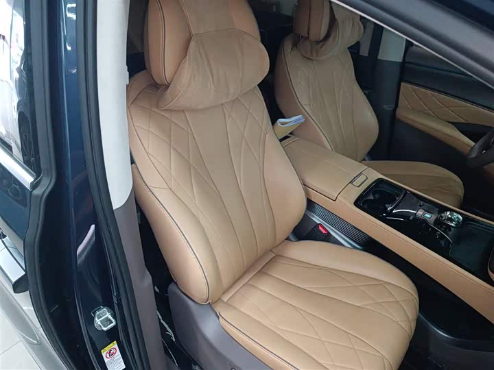 Фото 25 - Denza D9