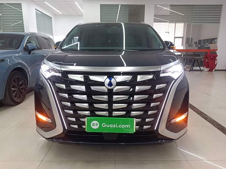 Фото 3 - Denza D9