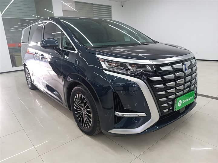 Фото 4 - Denza D9