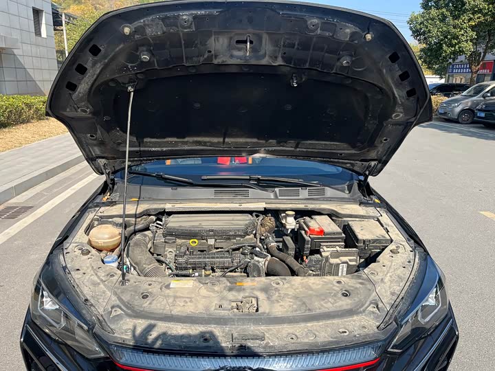 Фото 16 - Dongfeng Aeolus Yixuan Max