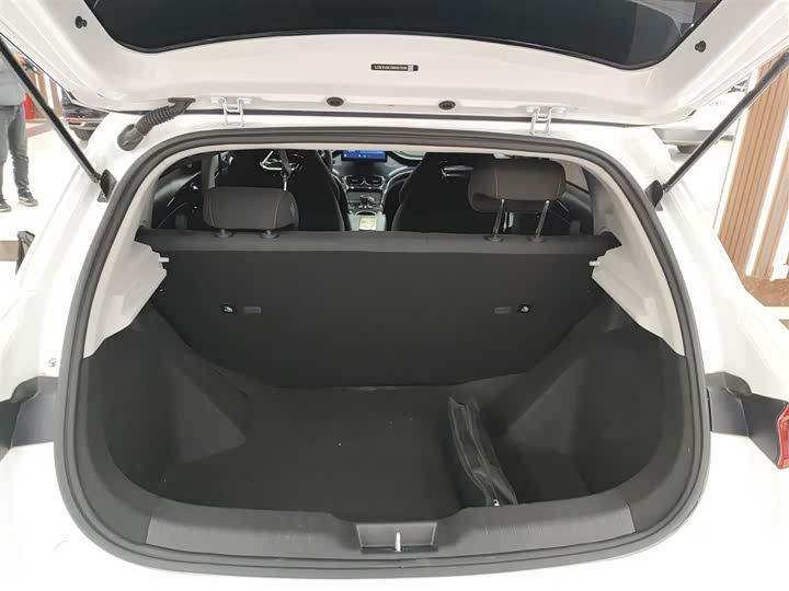 Фото 19 - BYD E2