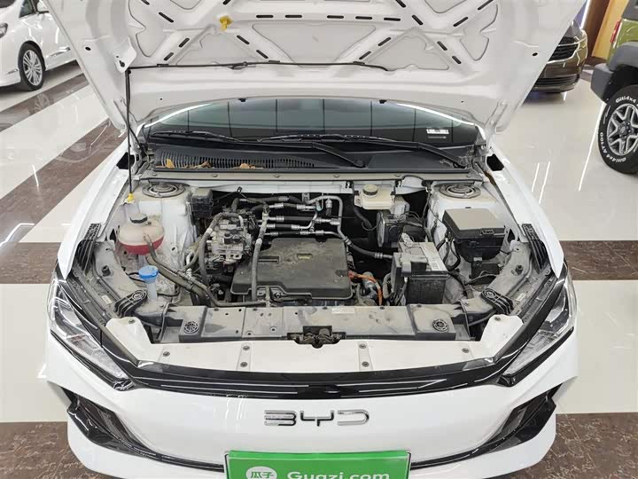 Фото 20 - BYD E2