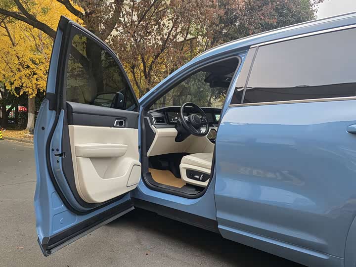 Фото 19 - LiXiang One