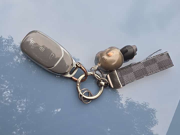 Фото 29 - LiXiang One