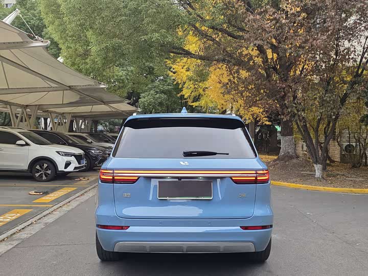 Фото 6 - LiXiang One