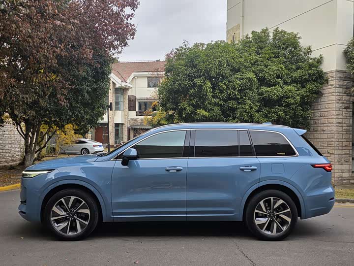 Фото 8 - LiXiang One