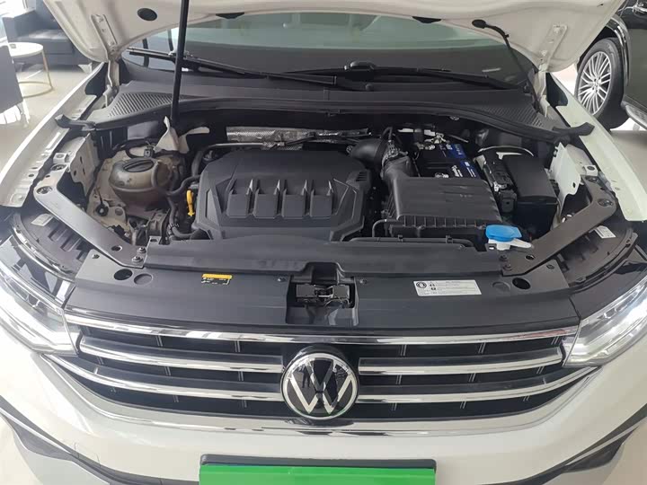 Фото 20 - Volkswagen Tiguan L Pro