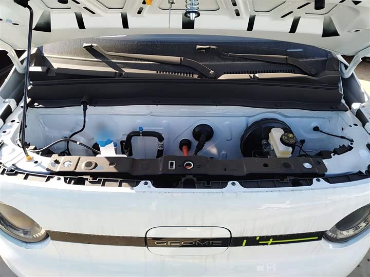 Фото 20 - Geely Galaxy Panda Mini