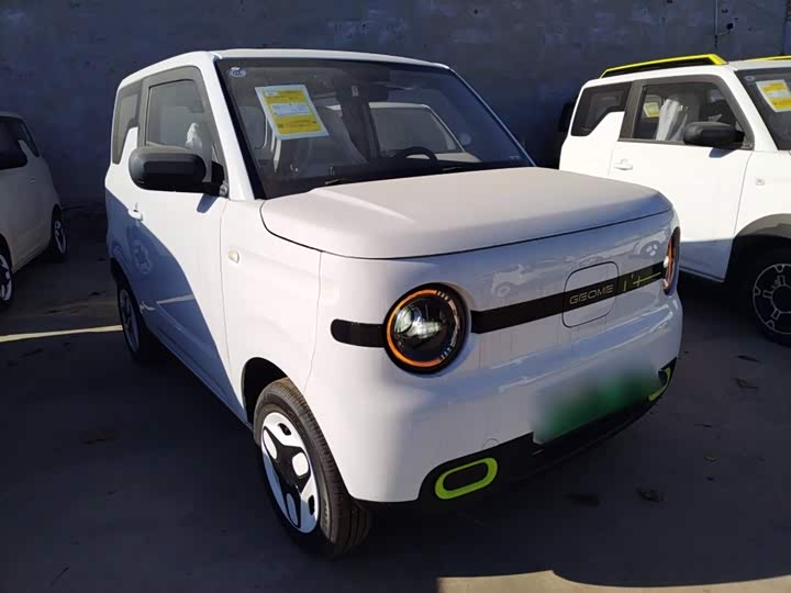 Фото 4 - Geely Galaxy Panda Mini