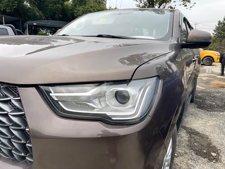 Фото 4 - Great Wall Pao