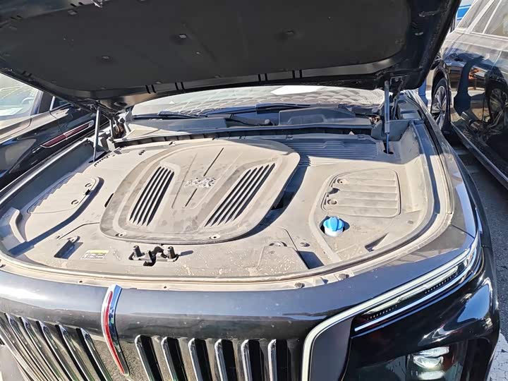 Фото 20 - Hongqi E-HS9