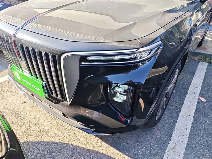 Фото 24 - Hongqi E-HS9