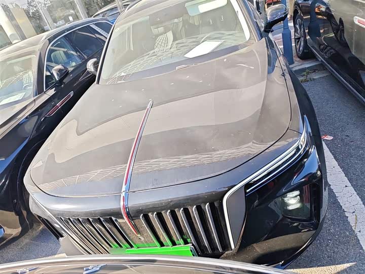 Фото 3 - Hongqi E-HS9