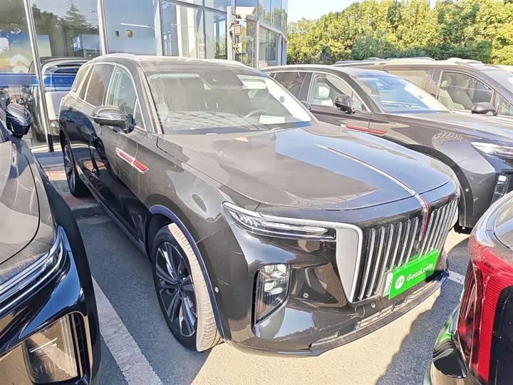 Фото 4 - Hongqi E-HS9