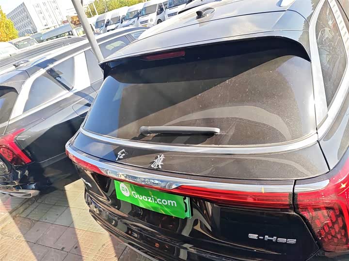 Фото 6 - Hongqi E-HS9