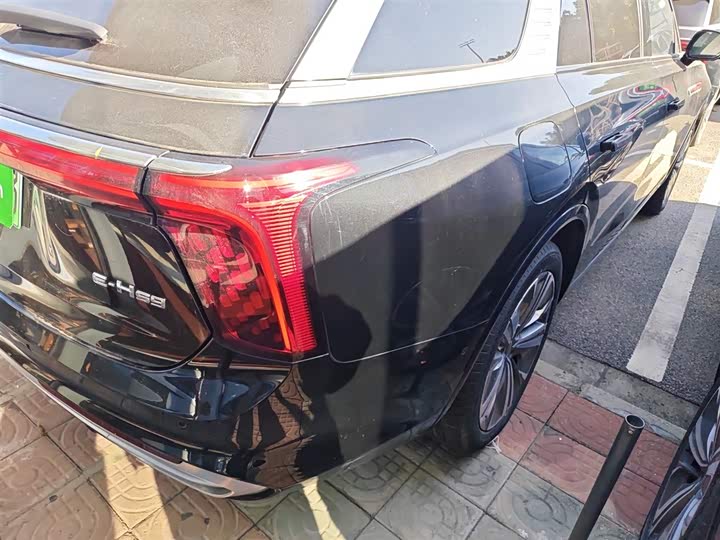 Фото 8 - Hongqi E-HS9