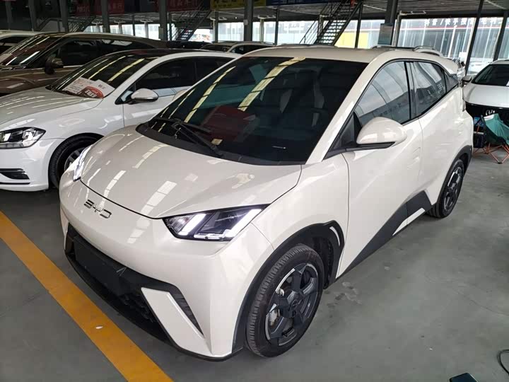 Фото 1 - BYD Seagull