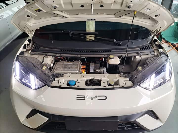 Фото 20 - BYD Seagull