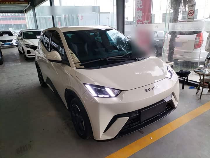 Фото 4 - BYD Seagull