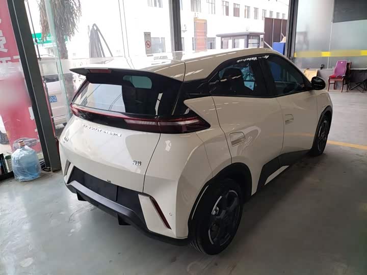 Фото 7 - BYD Seagull