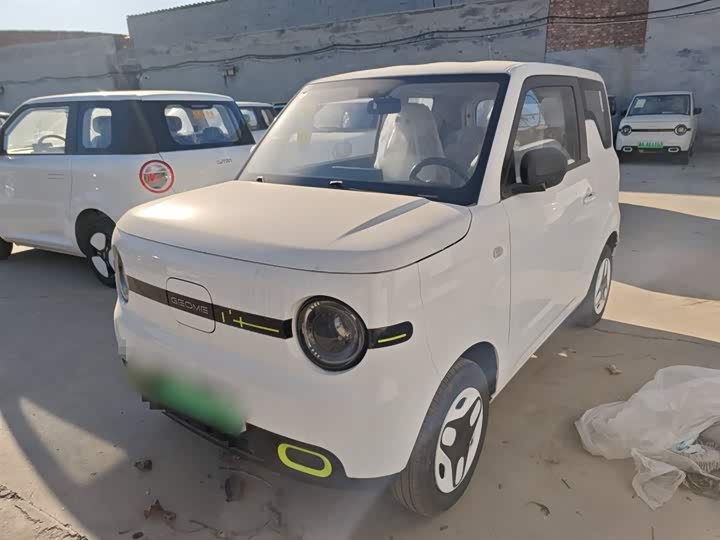 Фото 1 - Geely Galaxy Panda Mini