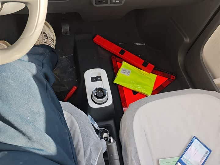 Фото 14 - Geely Galaxy Panda Mini