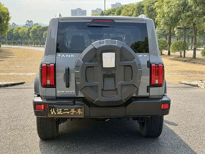 Фото 28 - Tank 300