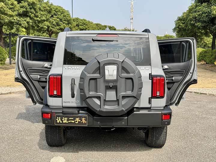 Фото 30 - Tank 300