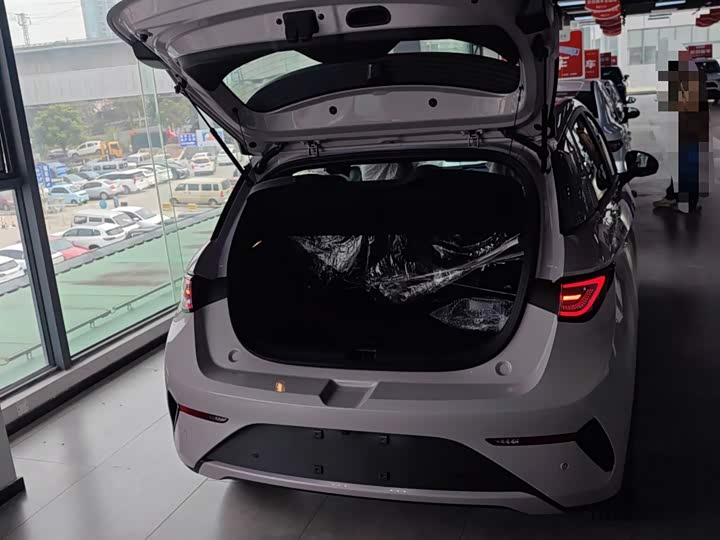 Фото 19 - BYD Dolphin