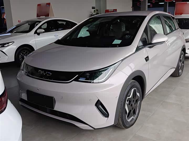 Фото 2 - BYD Dolphin