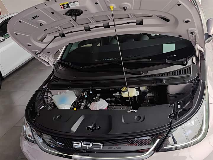 Фото 20 - BYD Dolphin