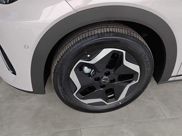 Фото 23 - BYD Dolphin