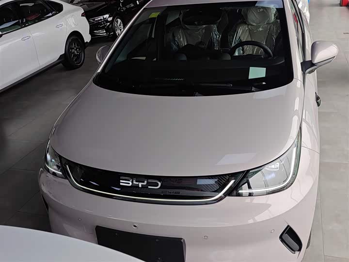 Фото 3 - BYD Dolphin