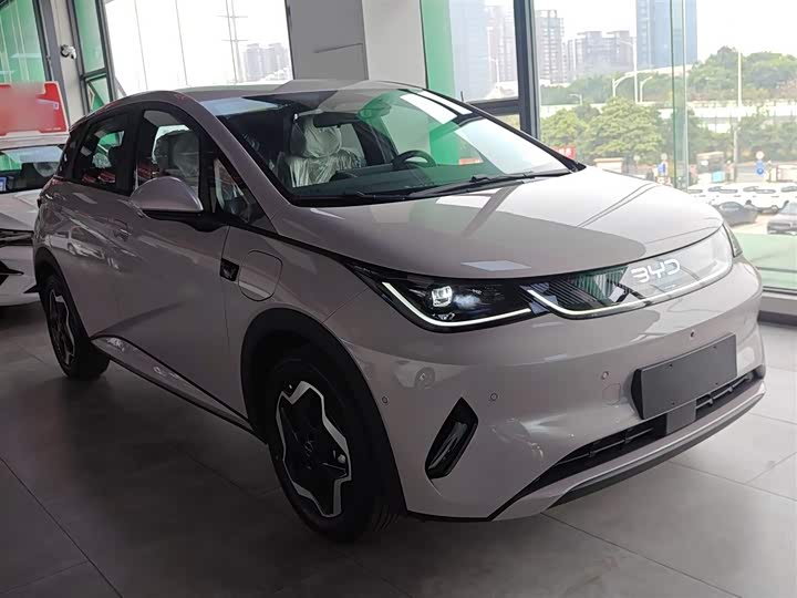 Фото 4 - BYD Dolphin