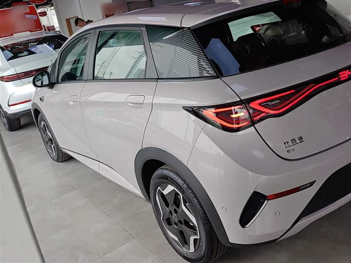 Фото 5 - BYD Dolphin