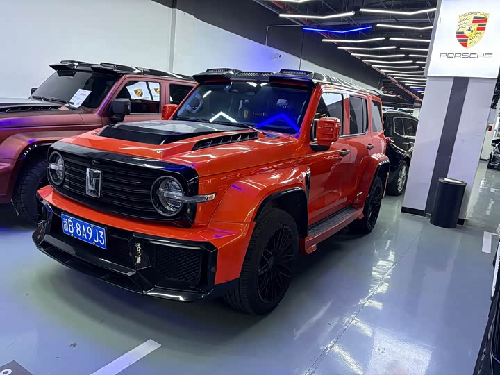 Фото 2 - Tank 300