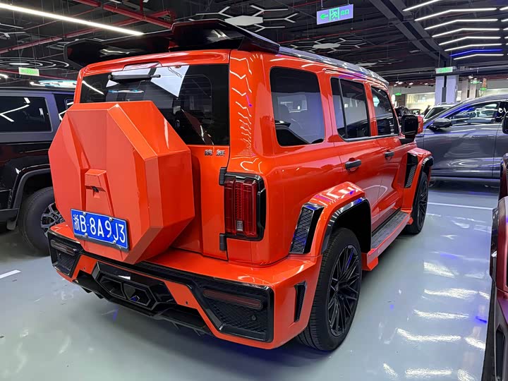 Фото 5 - Tank 300