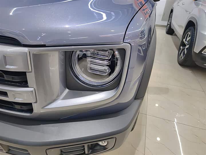 Фото 24 - Haval Dargo