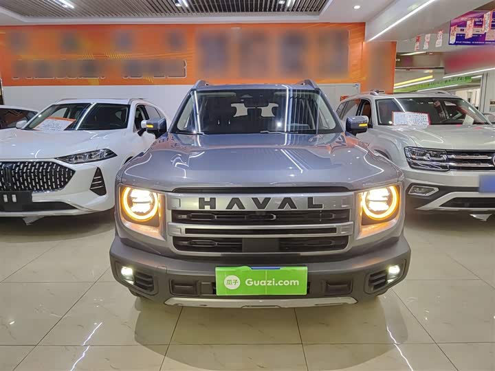 Фото 3 - Haval Dargo