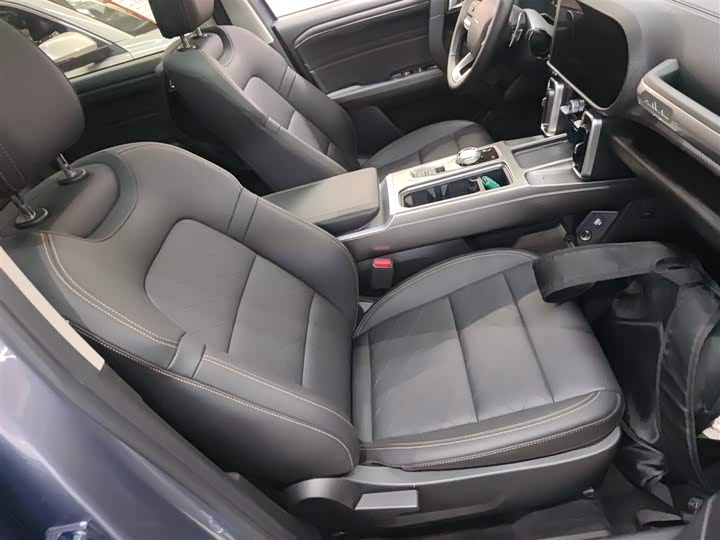 Фото 4 - Haval Dargo