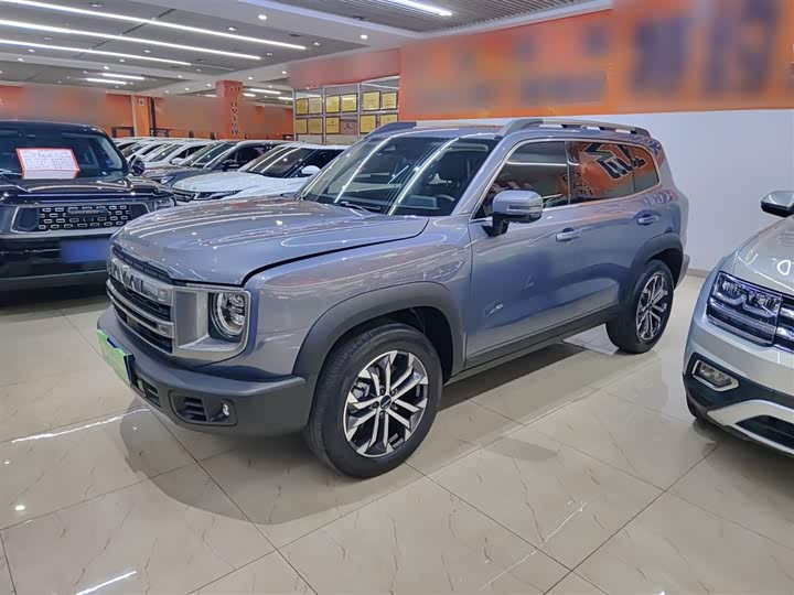 Фото 5 - Haval Dargo