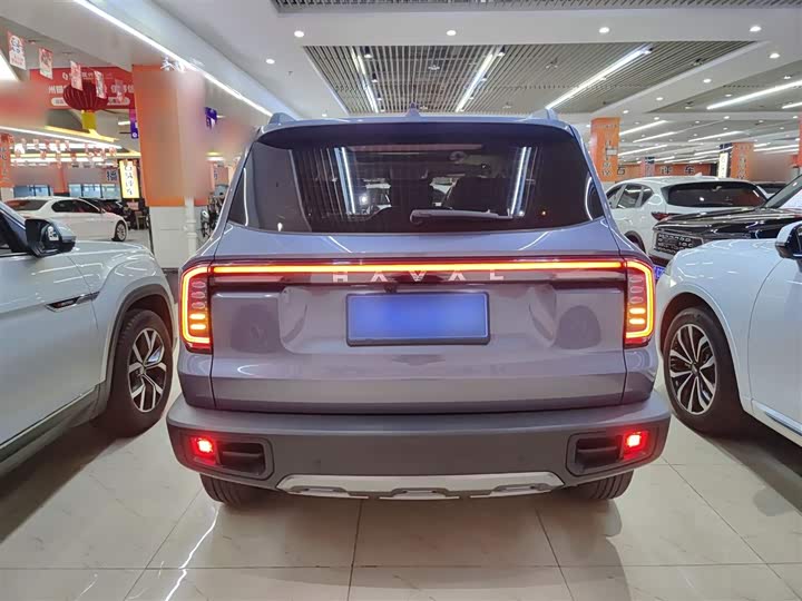 Фото 6 - Haval Dargo