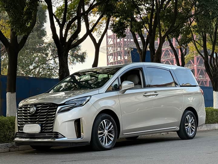 Фото 1 - Buick GL8 ES