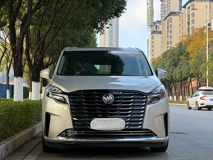 Фото 2 - Buick GL8 ES