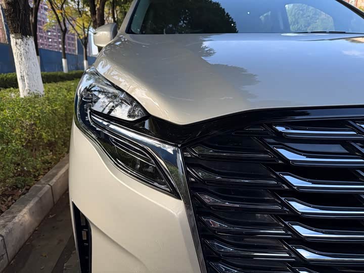 Фото 20 - Buick GL8 ES